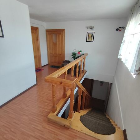 Dumbrava Roşie Camere De Inchiriat Edelweiss מראה חיצוני תמונה