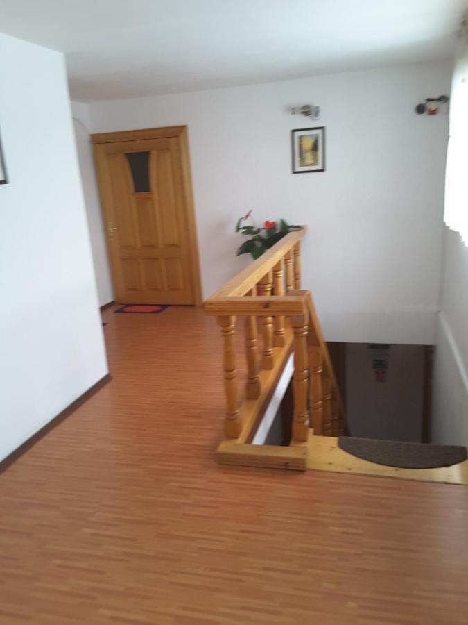 Dumbrava Roşie Camere De Inchiriat Edelweiss מראה חיצוני תמונה