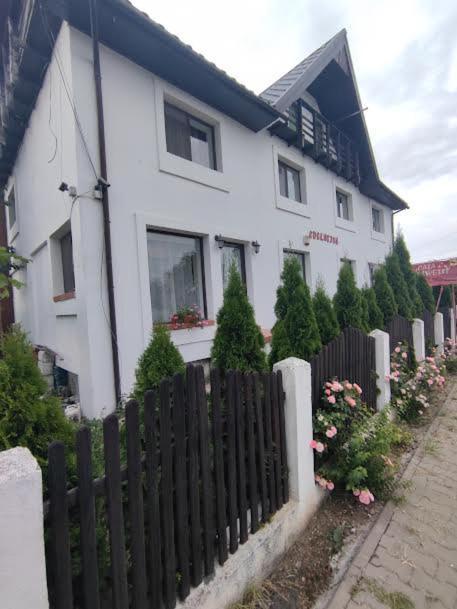 Dumbrava Roşie Camere De Inchiriat Edelweiss מראה חיצוני תמונה